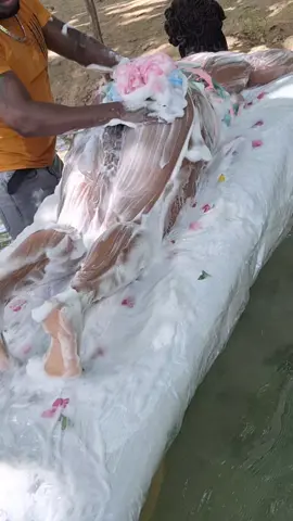 Suds Scrub With Coffee At A  River #scrubbing #coffeescrub #scrubbingasmr #soapasmr #fitzroymassage #fitzroyed #massagetherapy #massage #relaxationmassage #mobilespa #asmr #medicalspa #medicalmassage #asmrvideo #I don't own the rights for this song 