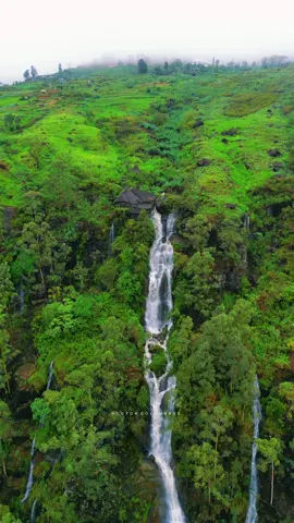 Nature always wears the colors of the spirit. 🍃දේවතුරා ඇල්ල                                                Ｄｅｖａｔｈｕｒａ  Ｆａｌl.         . . . . . . . . #devathura #nuwaraeliya #kotmale #ramboda #naturelovers #Falls #travelblogger #travelsrilanka  #doctor_colambage #mini3pro  #devathura #waterfallsrilanka #nuwaraeliyatrip #nuwaraeliyahotels #travelblogger #naturelovers #naturelovers #nuwaraeliyahotels #ramoda  #srilanka  #viral  @highlight 