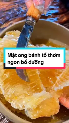 Mật ong bánh tổ hay còn gọi là mật ong nguyên tổ sáp chín tự nhiên, thơm ngon bổ dưỡng #matong #matongnguyentosap #xuhuong #xuhuongtiktok 