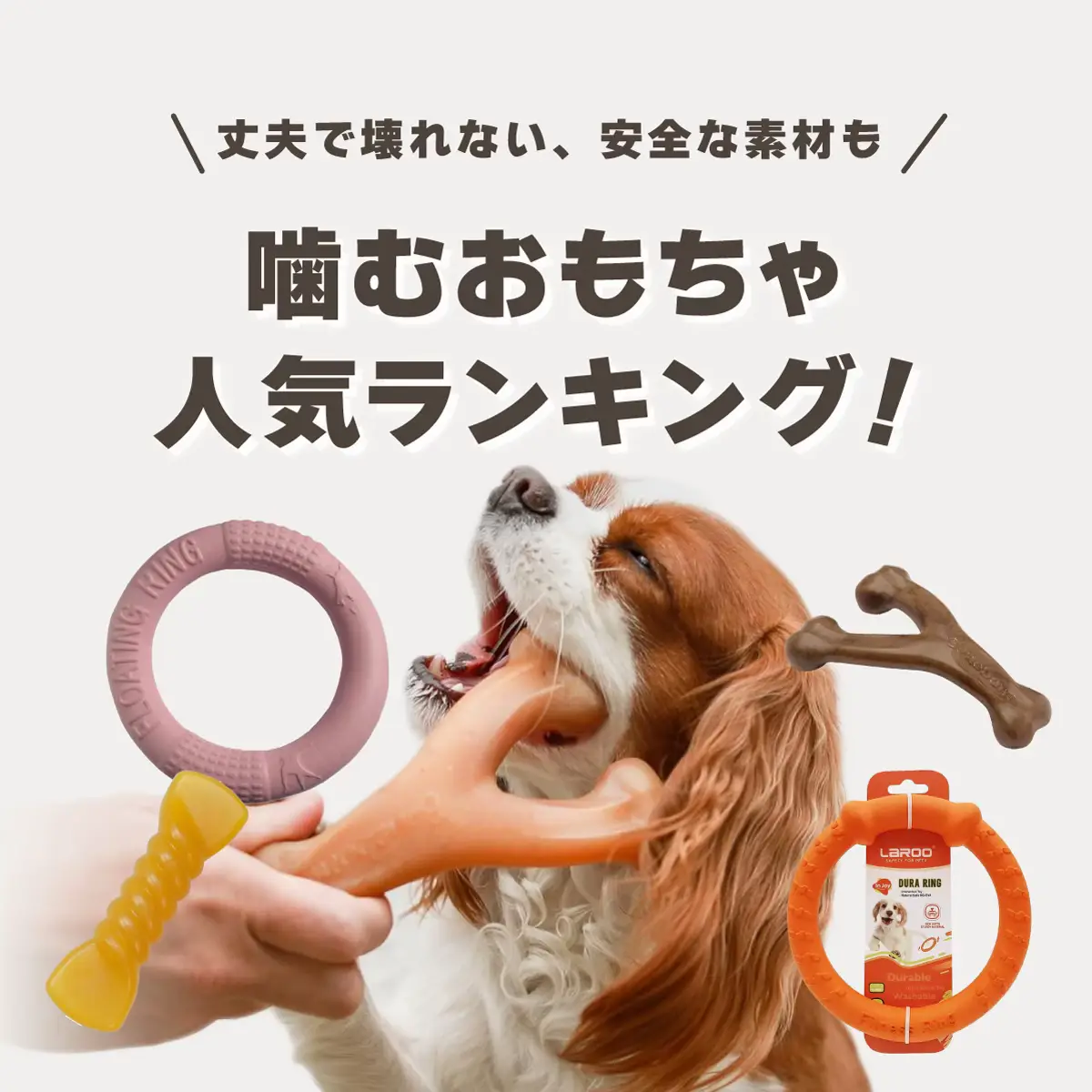 🐶 【2024年版】犬用噛むおもちゃランキング 🐶 愛犬のストレス解消とデンタルケアにぴったり！丈夫で安全な素材のおもちゃを厳選しました。歯がムズムズする子犬から成犬まで、幅広く活用できるアイテムが揃っています✨ 🔹 おすすめ商品 ・フレーバー付きで食いつき抜群 ・鹿の角でできたナチュラル素材 愛犬との楽しい時間をもっと充実させましょう！ #犬用おもちゃ #噛むおもちゃ #ペット用品 #犬の健康