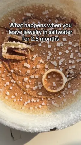 Did I forget about our salt water test for 2.5 months while I was travelling? Yes. Are we surprised by the results? Also yes. #fyp #foryou #experiment #waterproofjewelry #brothaeuhh 