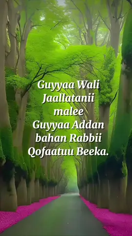 Jechoota Beektotaa #oromotiktok #🎹🎹🎸🎶🎵🎼🎼🎧🎺🎙 #Capcut #foryoupage  #habeshatiktok #oromomusic #oromotiktok 