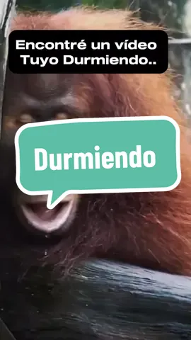 Etiqueta a quien te recuerde 😅😅 #CapCut #meme #sarcasmo #humorironico #humor #fyp #🤣🤣🤣 #fypviralシ #durmiendo #encontreunvideotuyp #ronquidos #memeronquidos #roncar #sonidos  #miercoles #🤣🤣🤣 #paracompartir #paradedicar 