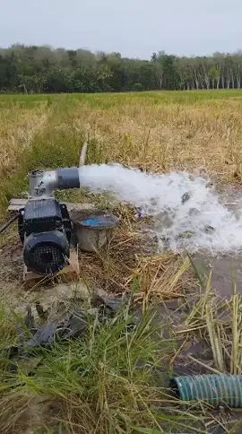 langsung uji coba dilapangan bos. 3 dim dinamo pakai 2 hp  listrik perjam cuma habis 2000 rupiah#pompaairlistrik #ngairisawah #ilmupadi🌾 #pompaairmodifikasi #fypシ゚viral #tulungagung24jam #fypシ゚viral🖤tiktok #masukberanda 