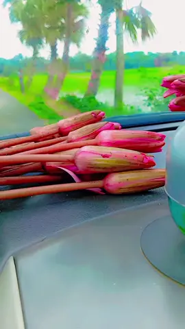 #CapCut #frinends #with #ghoragori@🍁🌹পরিবারে ছোট নবাব🌹🍁 @আলহামদুলিল্লাহ ❤❤ @imran 