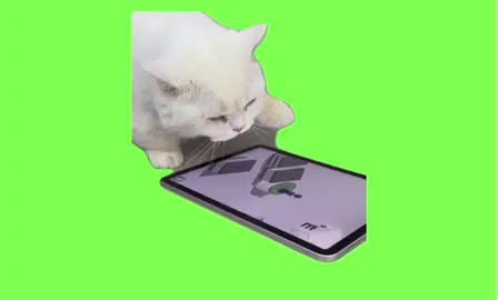 ゲーム中🎮📱 #猫ミーム #fyp #capcut #ゲーム#忙しい#夢中 #スマホ