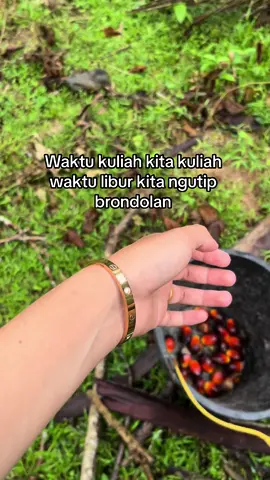 Ada yg sama? #fyp #fyppage #sawitontiktok #sawitontiktok #xbcyza #petanimuda #storywhatsapp #sawitriau #trending #xyzbcafypシ 