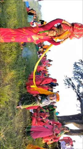 #gaura #goviral #viralvideo #dadeldhuramuser #foryoupage #sudurpaschim #tiktoknepal 