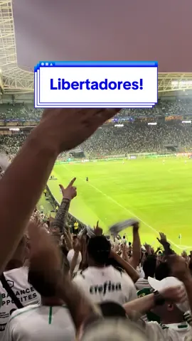 Somos a mancha verde . . . #palmeiras #libertadores #botafogo #fyp 
