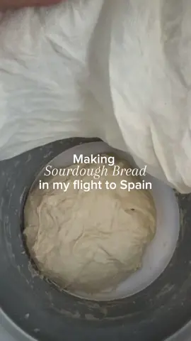Let me know if you want to see the final results 😉 or if you have any questions #milehighsourdoughclub #sourdough #milehigh #milehighclub #sourdoughbread #makingsourdoughbread #inflight #americanairlines #AA 