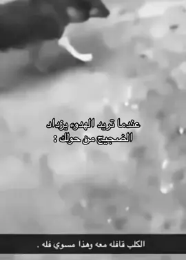 ْ
ْ
ْ
ْ . #foryou #viral #viral #fypシ #explore #fyp #foryoupage 