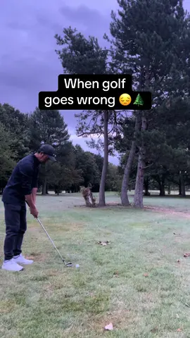 #⛳️golftiktok #golfshot #golfswing #高爾夫球 #golffail 😔🏌️‍♂️⛳️when golf goes wrong 😔🌲