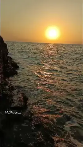 #هاني #شاكر #كل_الخطوة_ما_توسع_بيديق_بينا_المكان #🖤🥀🥺 #fyp #explore 