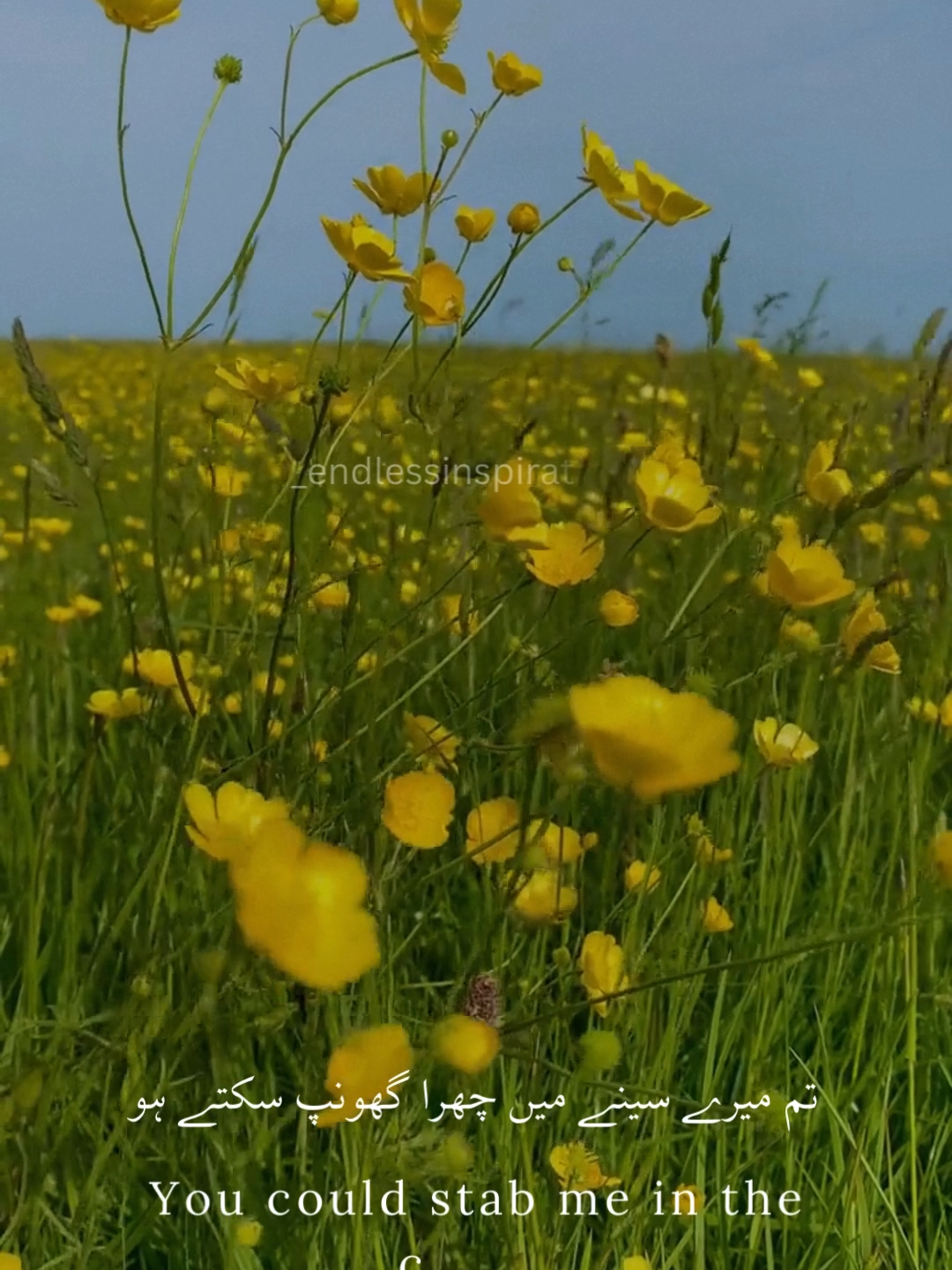 You could stab me in the chest🥀 #foryоu #englishpoetry #sad #uk #usa_tiktok @tiktok @tiktokmena @pktiktokofficial @tiktoklive_uk