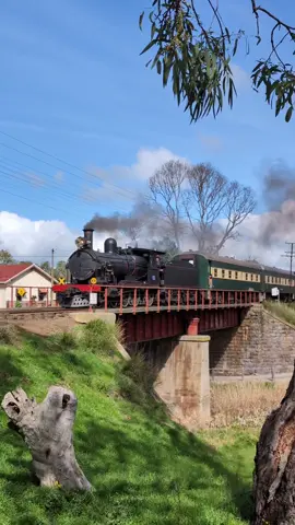 Rx 224 gently leads the Highlander across the Angas River in Strathalbyn, with a quick pause to allow manual activation of the level crossing ahead 🚂 #trains #railfans #steamlocomotive #heritagerailway #southaustralia 