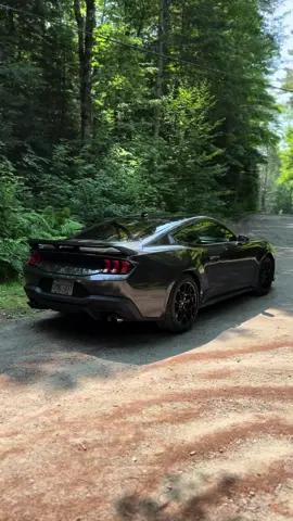 Trying to keep the wheels clean on a dirt road is hard🥴😥 #fordmustangclub #fyp #mustanggt #mustang #ford #s650 #americanmuscle #fordmustang #v8 #fordperformance #carsoftiktok #cars #mustangfanclub 