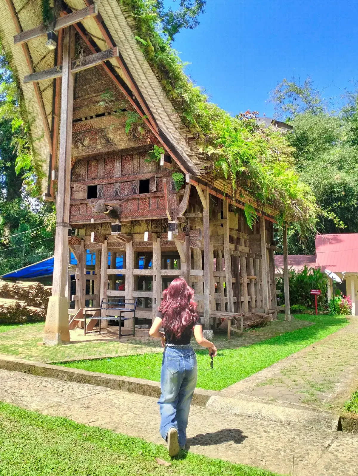 #f4 #xcyzba #storytorajatiktok #torajanese #fupage #fyppppppppppppppppppppppp #toraja #fypage #fyp #most #foryou #torajasulawesiselatan📍🖤 #toraja #torajasulawesiselatan #viral #viralvideo #viraltiktok #trending 