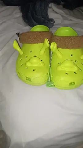 I got my new Shrek Crocs. #xzycba #fypシ #foryourpage #tiktok #fyp 