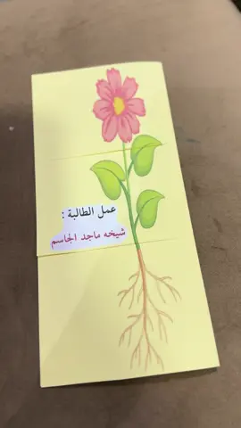 مطوية الصف الثاني #مطوية_علوم 