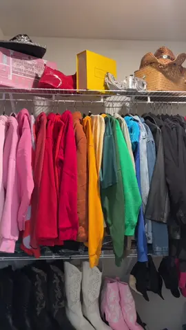 Apt move in closet transformation 😛🔑 #movein #closettransformation #collegemovein #Vlog #real #maxemlist #syleicon #atl #atlmovein #atlvlog #sendhelp #atlapartmenttour #
