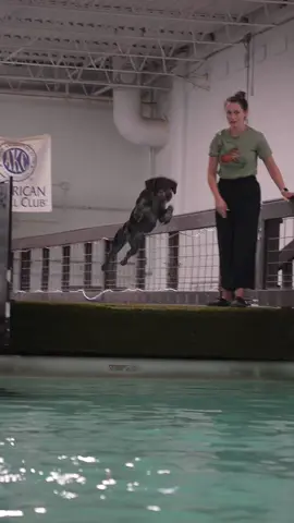 The day River saved her toy