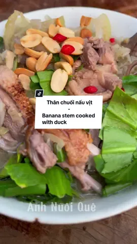 Thân chuối nấu vịt, quê mọi người có món này không? #anhnuoique #amthuc #nấuăn #xuhuong #langque #dongque #nauan #quehuong  