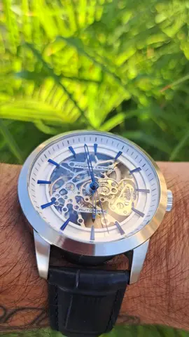 PAGANI DESIGN SKELETON 💀 #skeletonwatch #watch #trending #menswatch #paganidesign #wristroll 