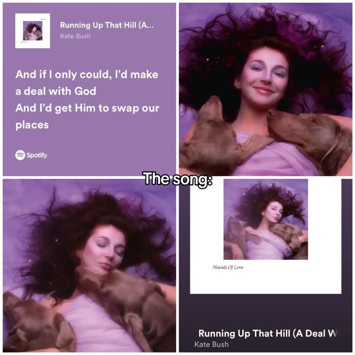 #katebush #runningupthathill  #maxmayfield #strangerthings  #foryou #season4 #fypシ゚viral #fyppppppppppppppppppppppp 