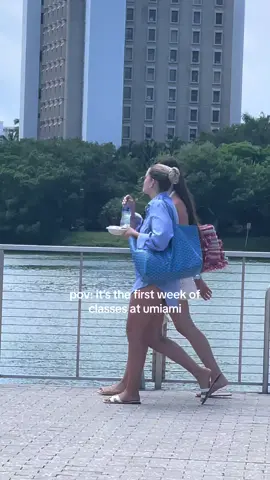 umiami 🤝🏾 goyard #umiami #universityofmiami #miami #goyardtote #collegelife  #collegemovein 