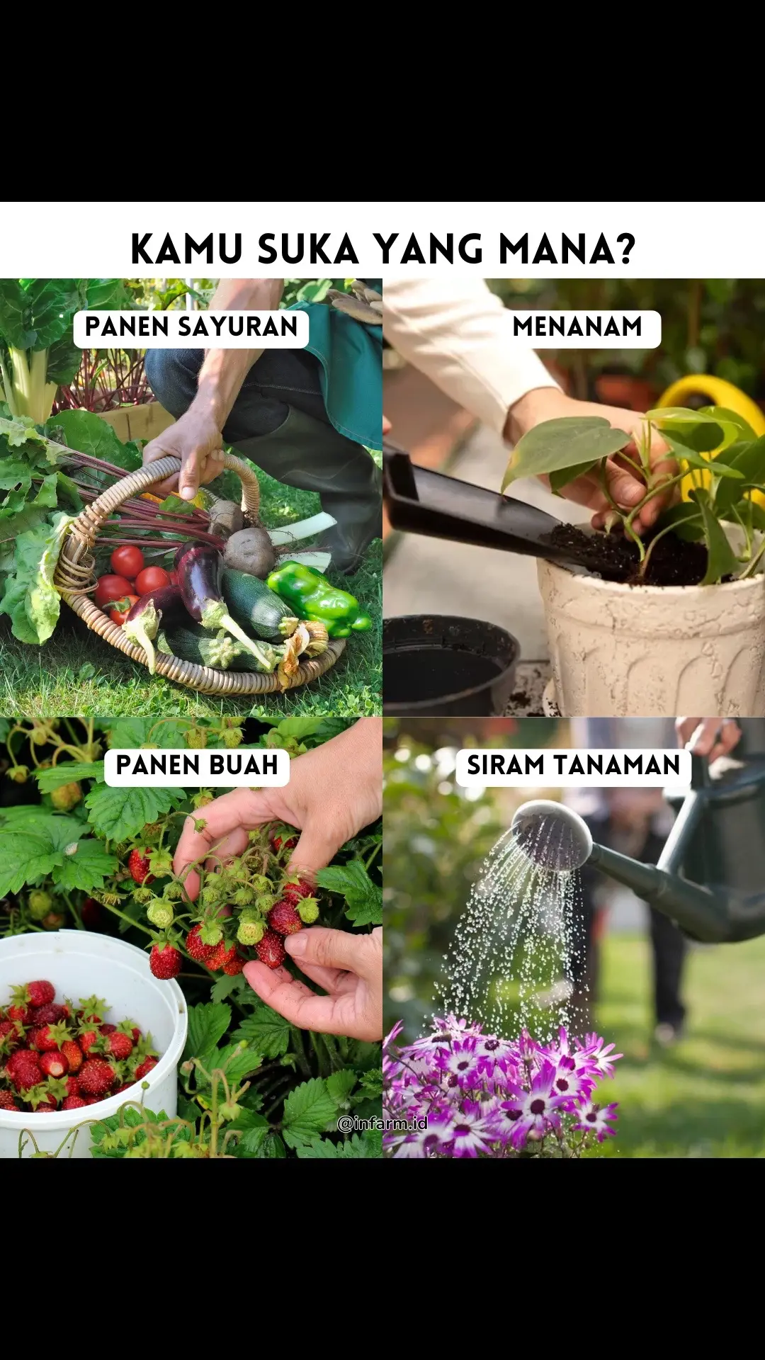 Kalian tim mana ? 🫵🏻🔥 #infarm #infarmid #berkebun 