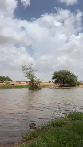 #الثويله_عاكفه  #التصوير_السريع  #نجران  #تصويري📷 