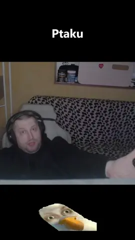 twitch.tv/mamm0n #ptaku #mammon #konfi