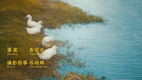 #Chinese #fypツ #foryou #trending 