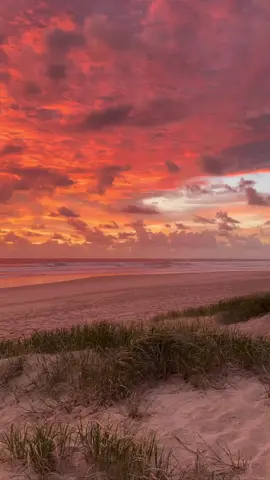 beauty sunset beach 