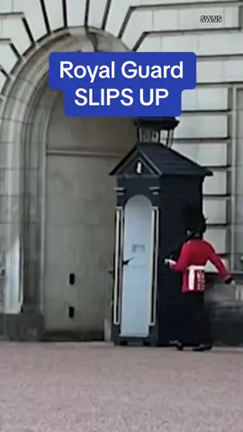 Did that really just happen?!?  🎥SWNS #buckinghampalace #royalfamily #uk #fall #london 
