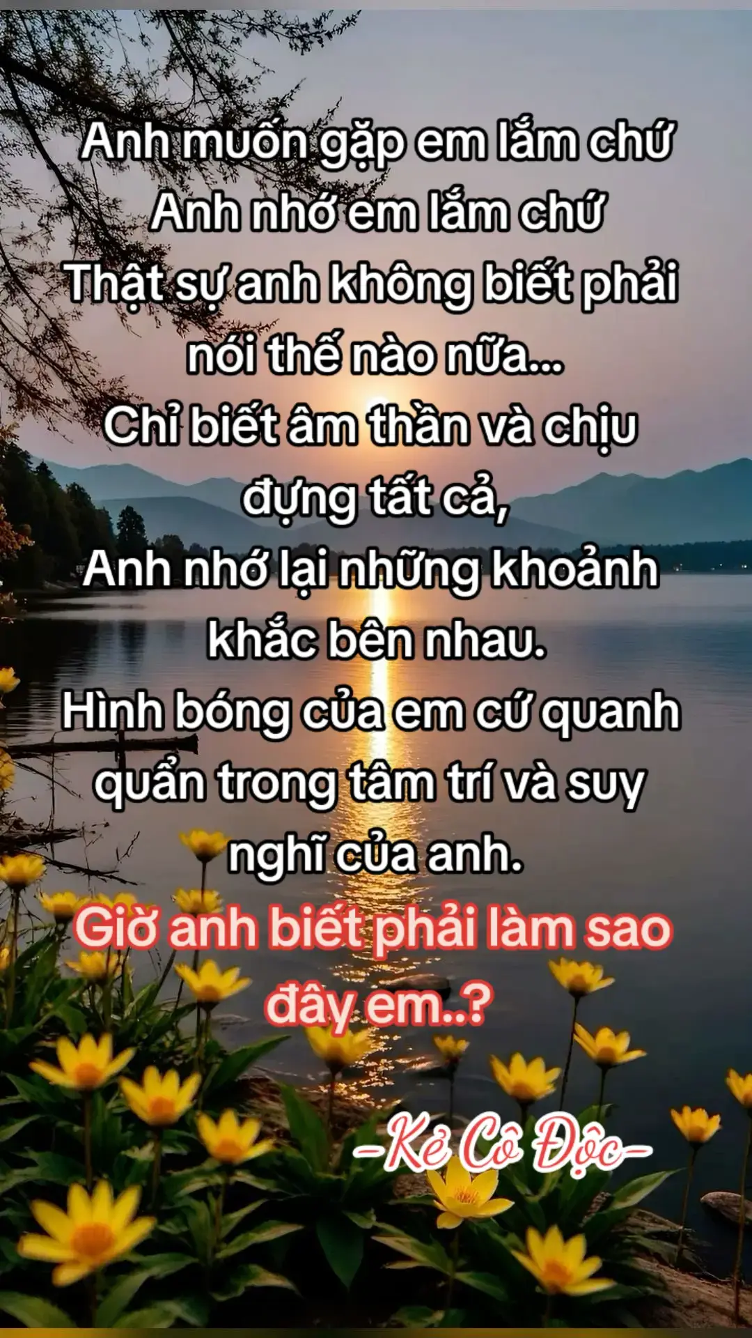 #xuhuongtiktok #xuhuongtiktok #xhtiktok #xuhuongtiktok2024 #kẻcôđộc #77binhdinh 