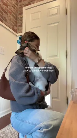 I need a dog in my life always #dogperson #leavingforcollege #college #dogs 