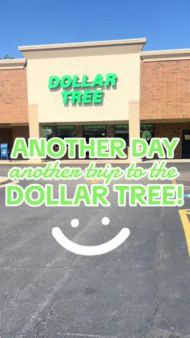 another day, another dollar tree trip!!  #dollartree #dollartreebeauty #dollartreehair #dollartreefinds #dollartreehaul #dollartreemusthaves #dollartreehacks #dollartreeshopping #shopwithme #newatthedollartree #ionimakeup #popsugar #marissainthemidwest #sallyhansen #nailpolishfinds 