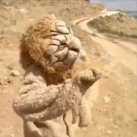 ئەو ڤیدیۆیەی کە شێرەکەی بازیان لە زەعەی براتانی دزی و خۆی پێ بەناوبانگ کر 🦁 #زەعزوع  #viral #tiktok #fyp #fypシ #foryou #foryoupage 