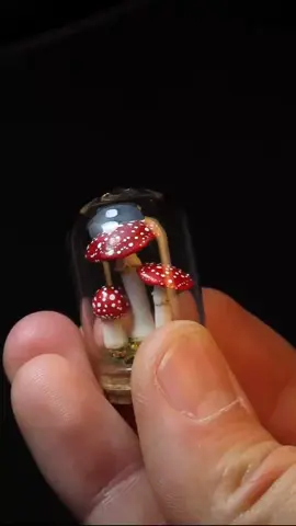 Tiny Fly Agaric Diorama- Amanita Muscaria 🍄 🍄 🍄 ...#tinythings #minithings #miniature #diorama #amanitamuscaria #flyagaric #mushroom #polymerclay #minimaker #dioramacreators #mini #polymerclayart #fungi #mushroomart