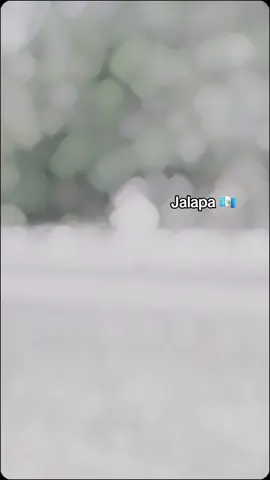 #CapCut 