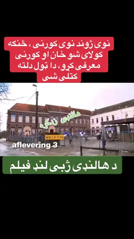 #هزره_ازبک_تاجک_پشتون_ترکمن_🇦🇫👑🇦🇫 #foryou #بروکسل🇦🇫🇧🇪 #افغانستان #بلچیکا🇧🇪 #bbc 