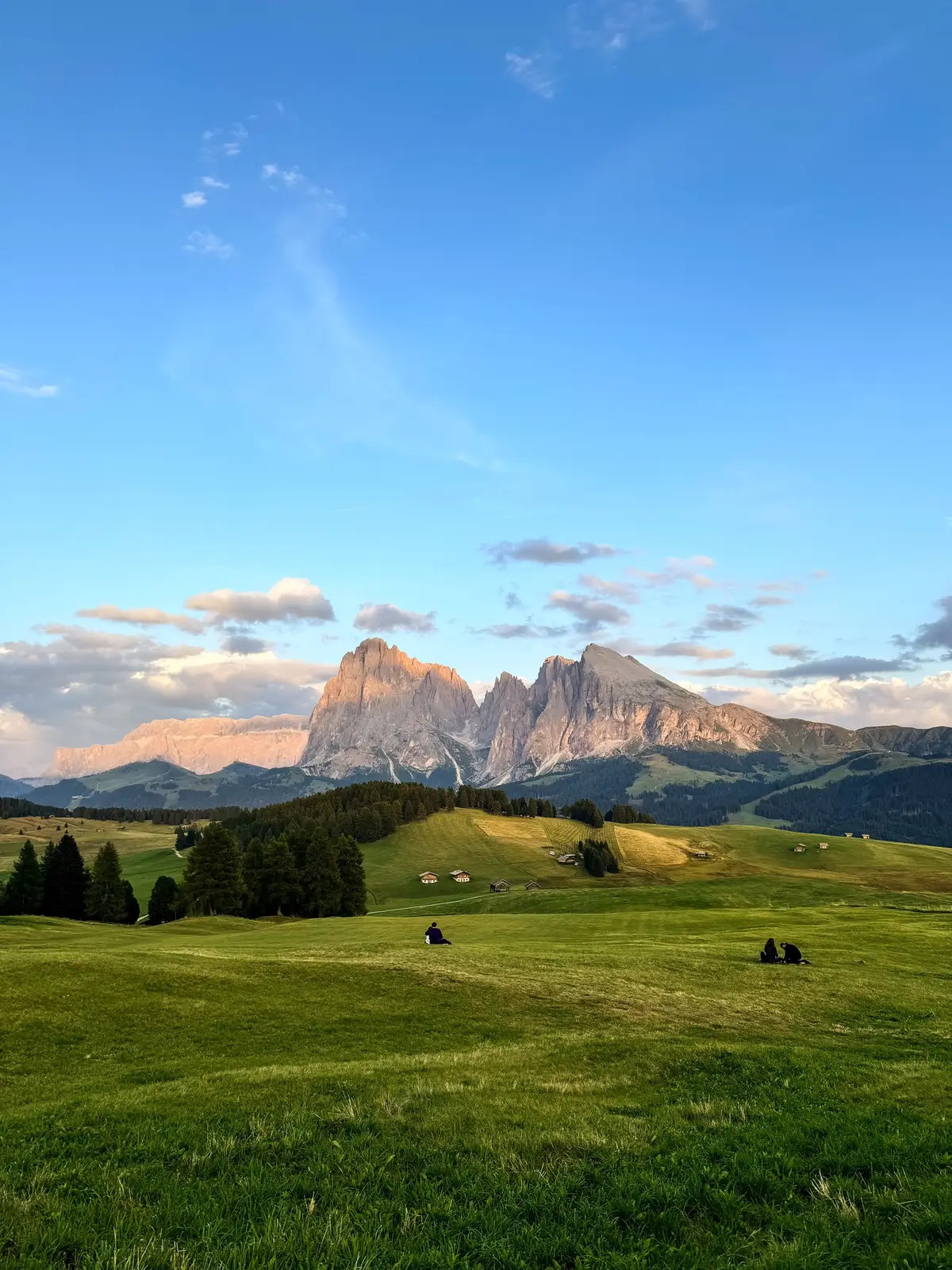 #dolomites #italy #dolomitesitaly #alpedisiusi #mountain #nature #naturetherapy #mountainview #heaven #dolomiti 