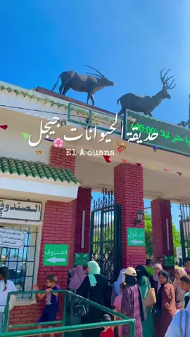 حديقة الحيوانات 🦓🪻 #شعب_الصيني_ماله_حل #جيجل #jijel #peace #العوانة_جيجل 
