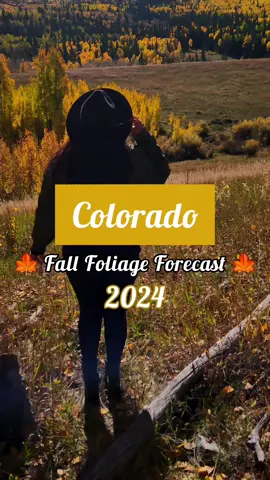 Based on initial fall forecast maps, this is when peak fall colors can be expected in various areas throughout Colorado 🍃🍂🍁 ☝️ Please keep in mind that September weather can also play a significant role so these forecasts may change and fluctuate in the coming weeks.  Please ensure to perform your own research as the dates grow closer and Save this post for Fallorado adventure planning! 🙌🍃🍂🍁  Who's ready for fall? 🍁🍂🍃 #colorado #fallfoliage #foliageforecast #coloradofall #fallorado #fallincolorado #leafpeeping #colorado #visitcolorado #colorfulcolorado #ilovecolorado #aspentrees #fallisintheair #autumn #fallroadtrip #fallvibes #autumnvibes #coloradoadventures #journeywithjandm 