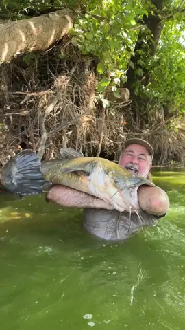 HAND FEEDING 🤣 This not so little) catfish was hungry and I caught him on my hand 😜 it called noodling it’s a old style and I was taken by the best Nate Williams Noodling Oklahoma experts and his two amazing sons’ River and phierce 🐟 what an experience of a life time 😅wanted to do this for the last 15 years and it finally came together and this 45 pound I thought it was way bigger lol check out my story for some epic pics. WOW it was my fist hand caught fish a Flathead catfish 🙌🙌 A whole new meaning of being catfished lol as it was way way bigger and cooler that I could have ever dreamed up 😮 Living the dream 💭 With an epic family of fishing fun 😂 • • • • • • • #wow #wildlife #awesome #fun #animals #animallovers #reelvideos #weekend #weekendfun #beautiful #saturday #vibes #noodling #catfish #catfishfishing #fishing #tik #tok #tiktok #tiktokanimals 