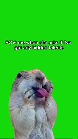 Squirrel Licking meme green screen capcut template #squirrel #animalmeme #licky #lickylicky #funnymemes #greenscreenmemes #capcuttemplates #CapCut 