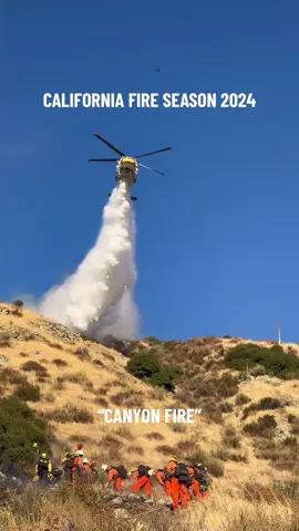 The 16 acre “Canyon Fire” was quickly contained on 8/21/24 in Big Tujunga Canyon, Los Angeles County, CA #firefighters #fireseason #fireseason2024 #firefighting #wildlandfire #wildlandfirefighting #hotshots #forestfire #brushfire #california #losangeles #fypシ゚viral 