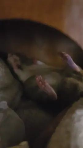 🚨 feets in the airrrrrr 🚨