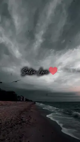 Descartame(Pedro Arroyo)♥️ #salsa #salsabaul #fvp #fvpシ #parati #paratii #viral #virall #salsaclasica #salsaromantica #salsaparadedicar #salseros #salserosdeverdad #musica #videoviral #descartame #pedroarroyo #sigueme #sigueme_para_mas_videos_asi 